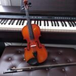 violi